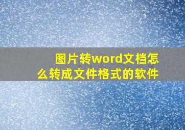 图片转word文档怎么转成文件格式的软件