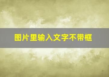 图片里输入文字不带框