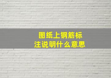 图纸上钢筋标注说明什么意思