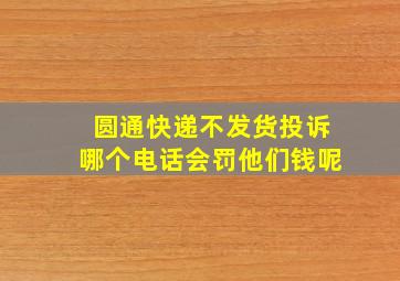 圆通快递不发货投诉哪个电话会罚他们钱呢