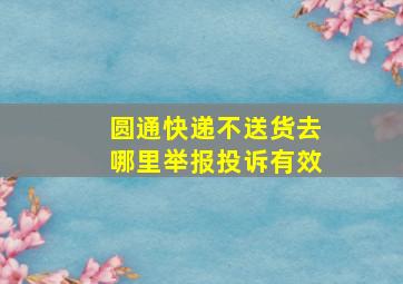 圆通快递不送货去哪里举报投诉有效