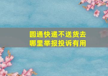 圆通快递不送货去哪里举报投诉有用