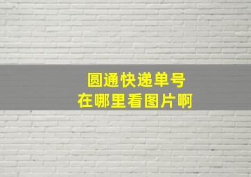 圆通快递单号在哪里看图片啊