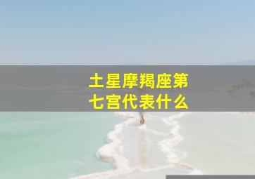 土星摩羯座第七宫代表什么