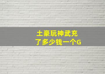 土豪玩神武充了多少钱一个G