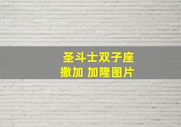 圣斗士双子座撒加 加隆图片