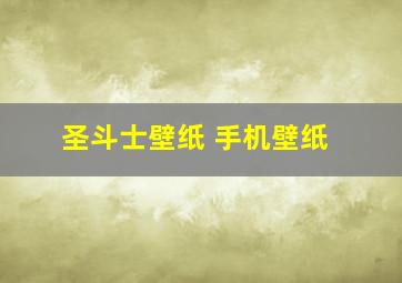 圣斗士壁纸 手机壁纸