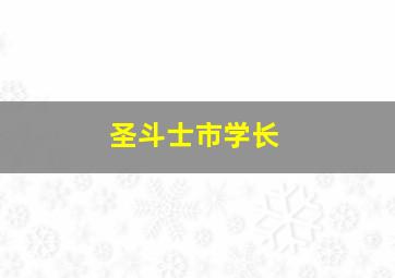 圣斗士市学长