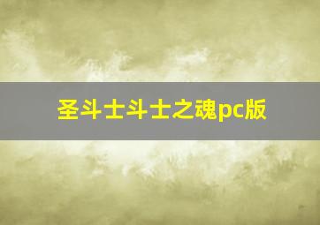 圣斗士斗士之魂pc版