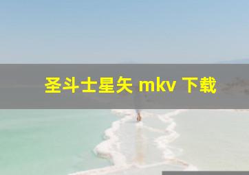 圣斗士星矢 mkv 下载