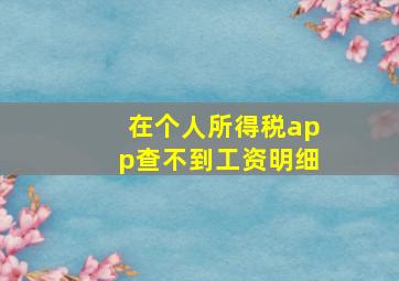 在个人所得税app查不到工资明细