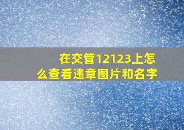 在交管12123上怎么查看违章图片和名字