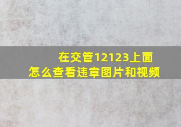 在交管12123上面怎么查看违章图片和视频