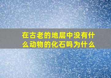 在古老的地层中没有什么动物的化石吗为什么