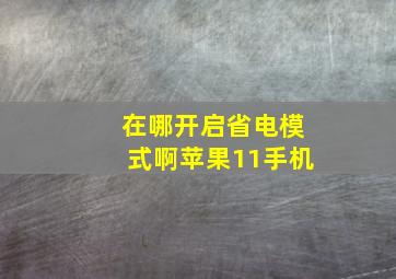 在哪开启省电模式啊苹果11手机