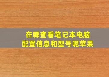 在哪查看笔记本电脑配置信息和型号呢苹果