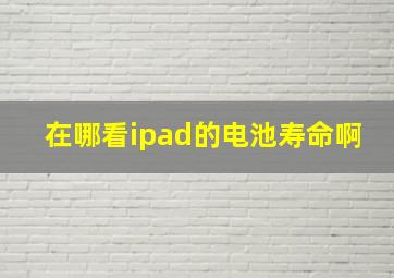 在哪看ipad的电池寿命啊