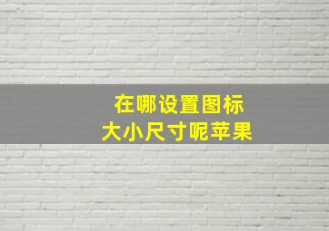 在哪设置图标大小尺寸呢苹果