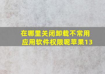 在哪里关闭卸载不常用应用软件权限呢苹果13