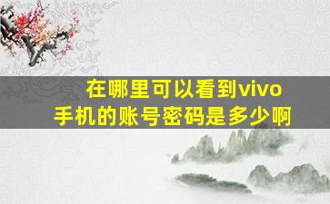 在哪里可以看到vivo手机的账号密码是多少啊