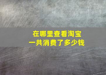 在哪里查看淘宝一共消费了多少钱