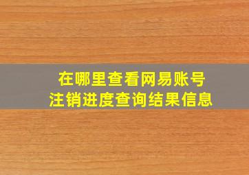 在哪里查看网易账号注销进度查询结果信息