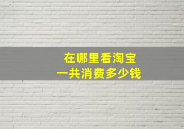 在哪里看淘宝一共消费多少钱