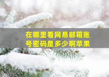 在哪里看网易邮箱账号密码是多少啊苹果