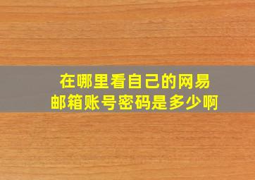 在哪里看自己的网易邮箱账号密码是多少啊