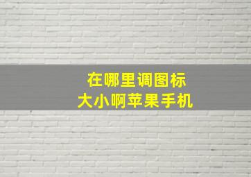 在哪里调图标大小啊苹果手机