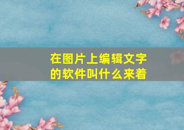 在图片上编辑文字的软件叫什么来着