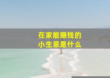 在家能赚钱的小生意是什么