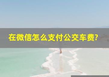 在微信怎么支付公交车费?