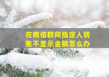 在微信群向指定人转账不显示金额怎么办