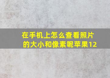 在手机上怎么查看照片的大小和像素呢苹果12