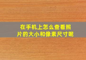 在手机上怎么查看照片的大小和像素尺寸呢