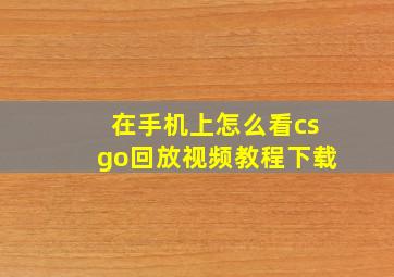 在手机上怎么看csgo回放视频教程下载