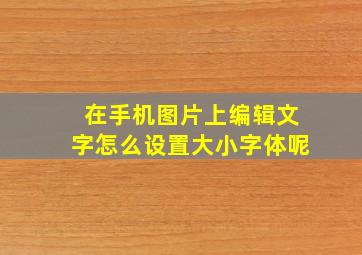 在手机图片上编辑文字怎么设置大小字体呢