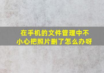 在手机的文件管理中不小心把照片删了怎么办呀