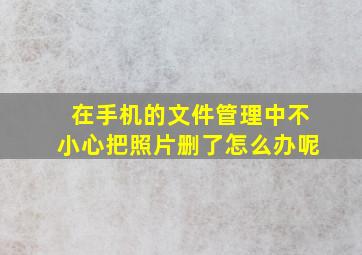 在手机的文件管理中不小心把照片删了怎么办呢