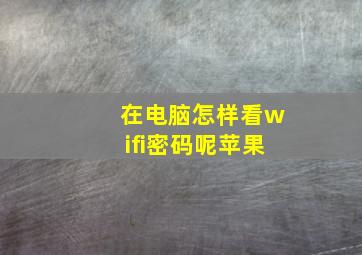 在电脑怎样看wifi密码呢苹果