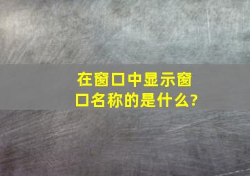 在窗口中显示窗口名称的是什么?