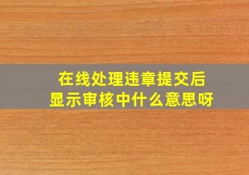 在线处理违章提交后显示审核中什么意思呀