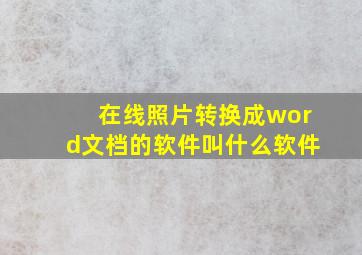 在线照片转换成word文档的软件叫什么软件