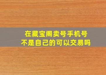 在藏宝阁卖号手机号不是自己的可以交易吗