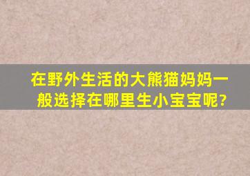 在野外生活的大熊猫妈妈一般选择在哪里生小宝宝呢?