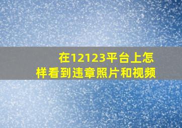 在12123平台上怎样看到违章照片和视频