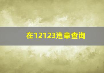 在12123违章查询