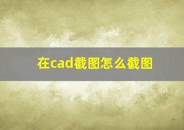 在cad截图怎么截图