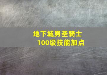 地下城男圣骑士100级技能加点